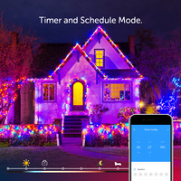 Łańcuch świątecznych lampek Dreamcolor BT muzyka WS2812B RGBIC oświetlenie adresowalne wesele girlanda dekoracyjna zewnętrzna USB DC5V 6